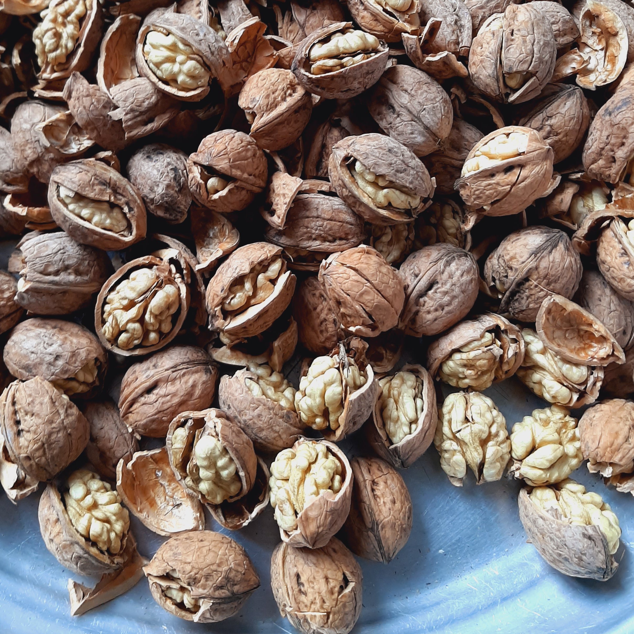 تصویر مغز گردو - درجه 1 Walnut