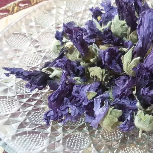 تصویر گل ختمی marshmallow